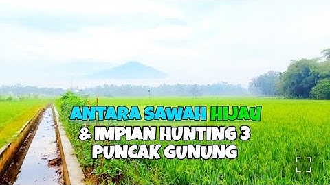 ANTARA SAWAH HIJAU & IMPIAN HUNTING 3 PUNCAK GUNUNG