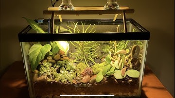 Mini Terrarium Build and WiFi Controls App (ESP8266)