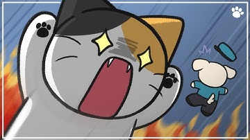 6 Tips to Stop Cat Zoomies