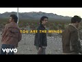 Jonas Brothers - Wings (Lyric Video)