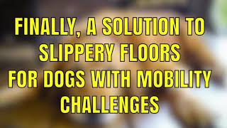 Dog Mocs Slippery Wood Floors