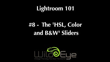 Lightroom 101 - #08  The 