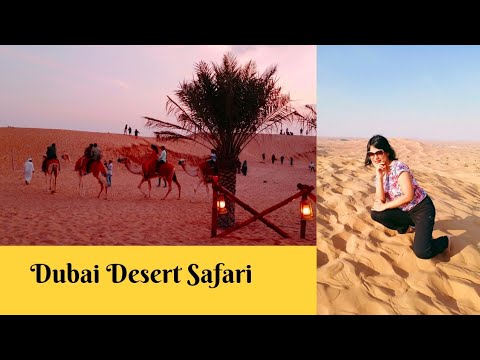 Evening Desert Safari Dubai With BBQ dinner/ Belly Dancing/Dune Bushing/ Dubai Desert Safari