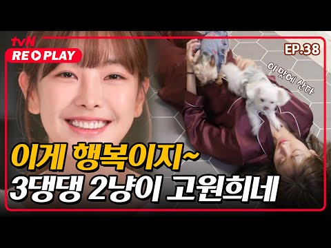 [온앤오프] 고원희와 아기천사들의 복닥복닥 러브하우스♥ | EP.38 #tvNREPLAY