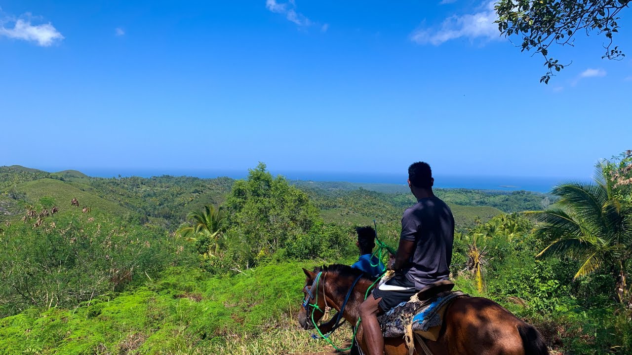 EXPLORING THE JUNGLE DOMINICAN REPUBLIC YouTube