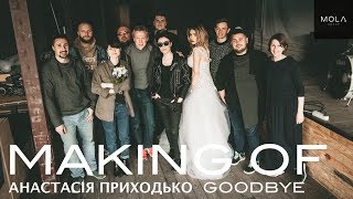 Анастасія Приходько - Goodbye (MAKING OF)
