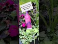 You asked. We're answering. #kbbottle #paperbottles #madeincanada