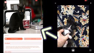 Cat Identifier: Cat Breed Finder for iPhone 🐈 AppFinders screenshot 3