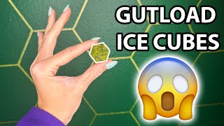 How to make gutload ice cubes for your pet reptile