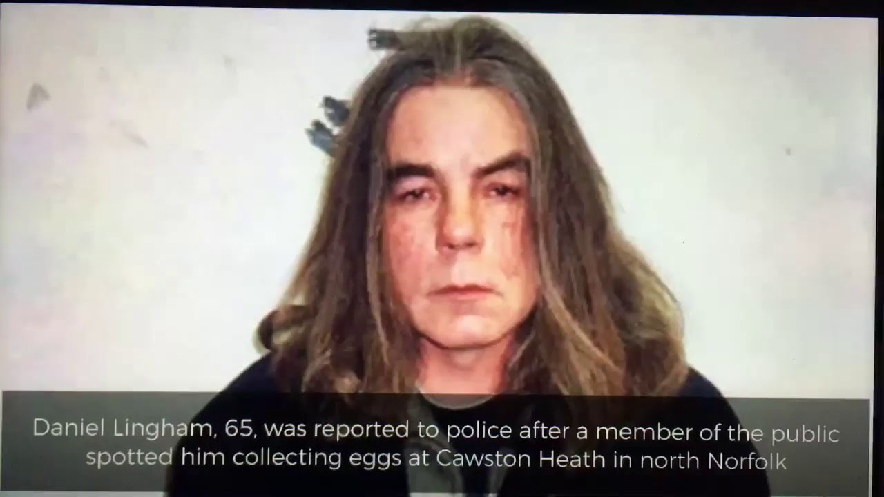  Daniel Lingham, 65, was reported to police after a member of the public spotted him collecting eggs at Cawston Heath in north Norfolk.