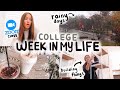 COLLEGE WEEK IN MY LIFE: online class, smoothie bar, new room additions + more