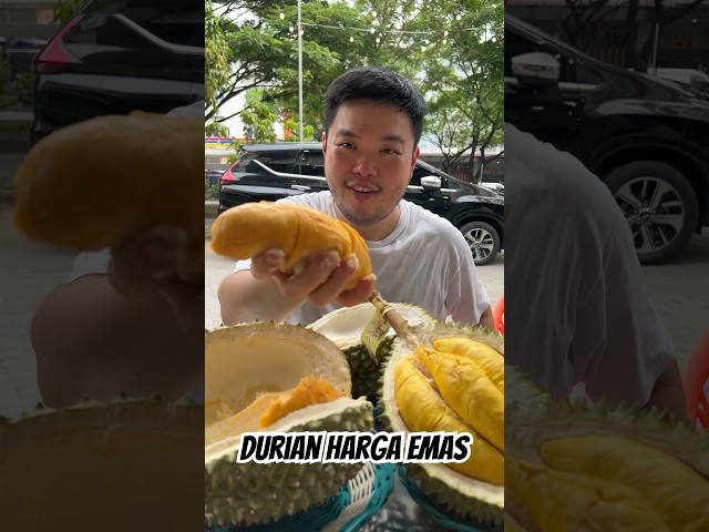 Durian Terenak di Medan class=