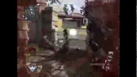 Leftover Midgame (BO2)