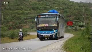 Bisuk Ma Ho Amang || Popular Sad Batak Songs Bus Version Pmh City Line