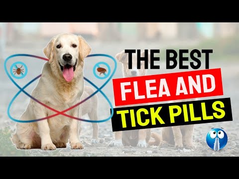 Video: Pillole da pulci per cani: meglio di Lufenuron