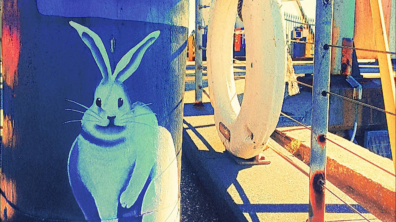 Cavedweller - Rabbit auf YouTube ansehen Cavedweller - Rabbit auf YouTube ansehen