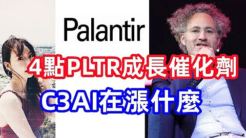 【美股PLTR】Palantir下一个股价增长的催化剂 ，谁将主宰AI大数据？EP115【CC字幕】 - 天天要闻