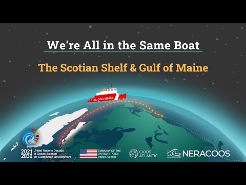Healy Webinar- We're
