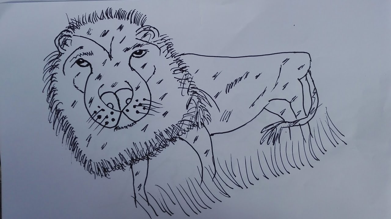Bengal Tiger Sketch by ladmyn on DeviantArt