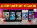 Оживил кучу айфонов запчастями с Aliexpress - Моя "коллекция" старых iPhone (тонусных)