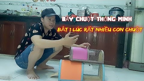 BẪY CHUỘT THÔNG MINH - BẮT MỘT LÚC RẤT NHIỀU CON CHUỘT / NGUYỄN HẢI ÂU OFFICIAL