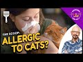 All you need to know about cat allergies & what you can do about them!