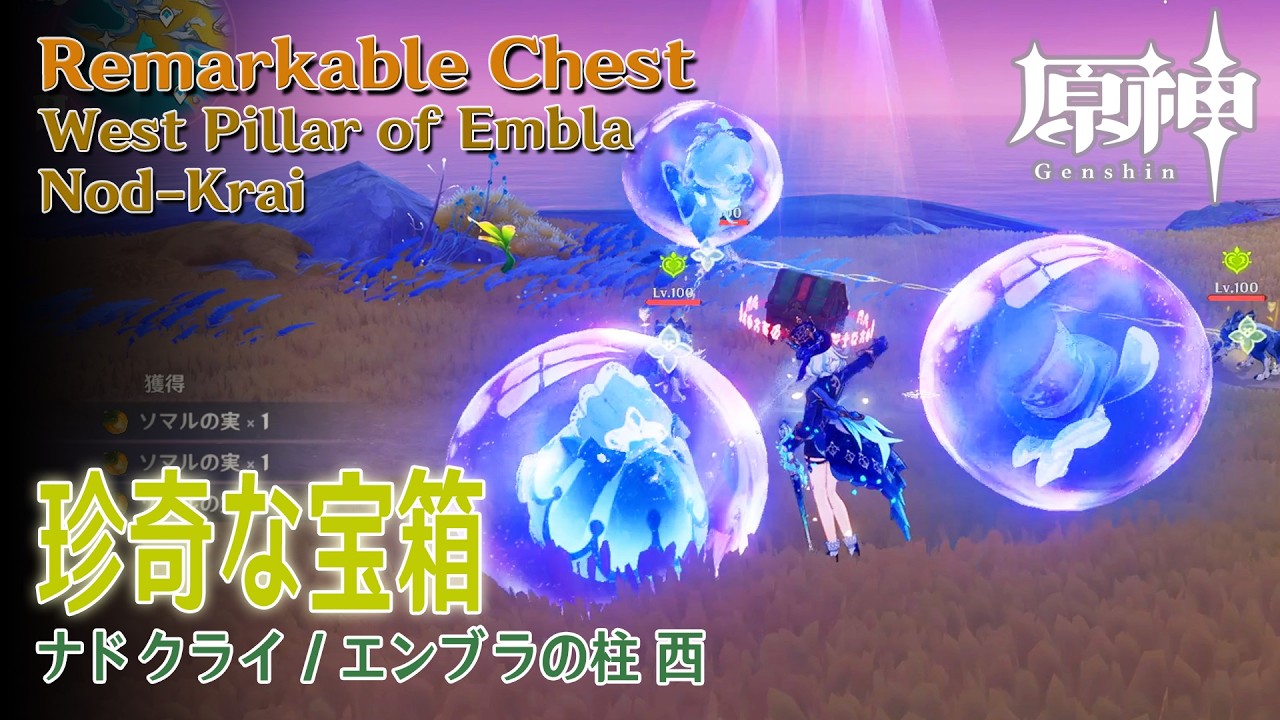 原神】珍奇な宝箱/ナドクライ/エンブラの柱西 [Remarkable Chest,West