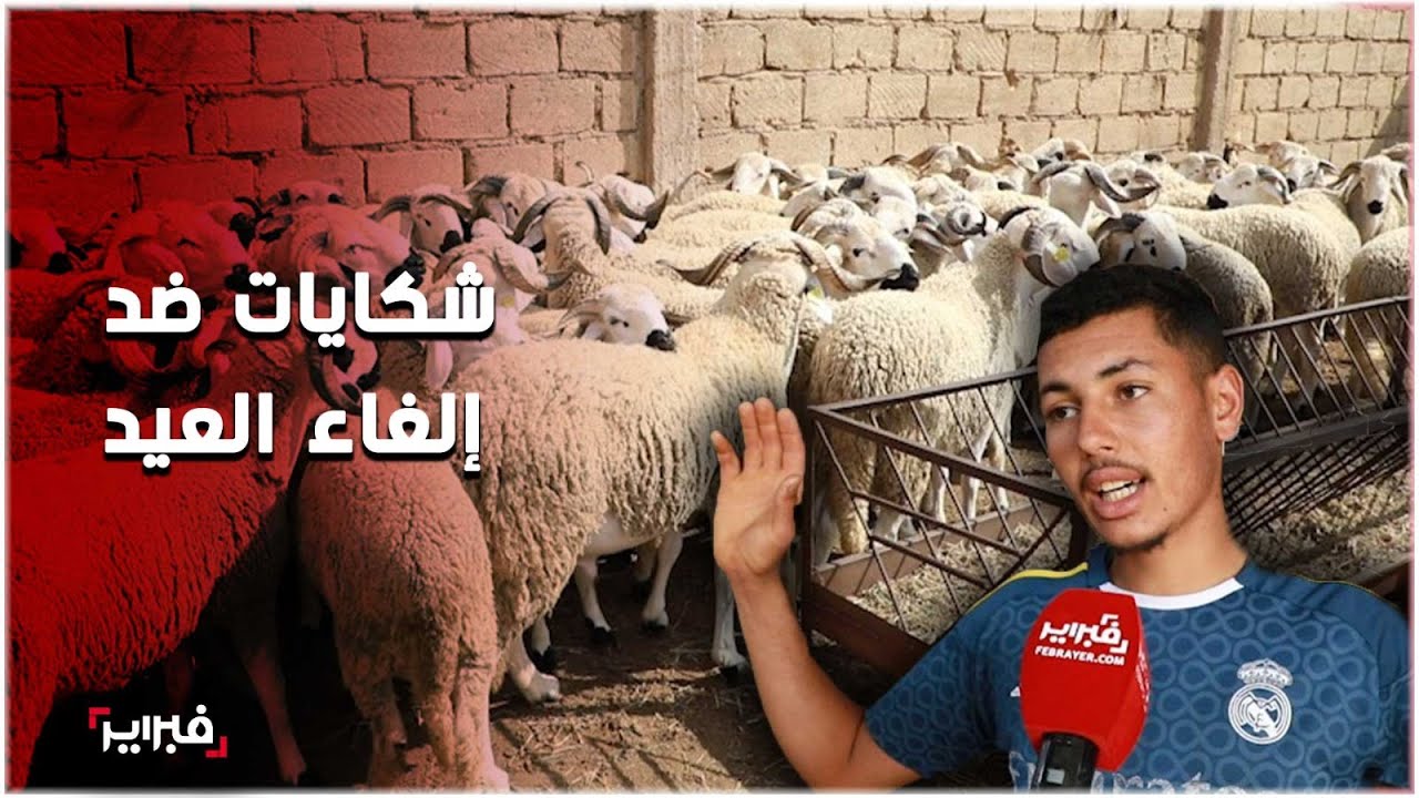 المسكوت عنه.. مربو أغنام: كسابة خبّاو الحوالا باش ما يطلعش المؤشر وبزاف غيمشيو للحبس بسبب الشيكات