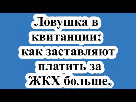 Видео: Отзиви: 