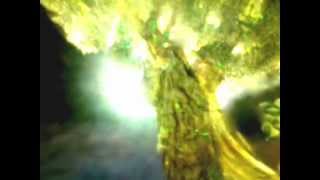 One Family on Earth/ A Quinn We are one