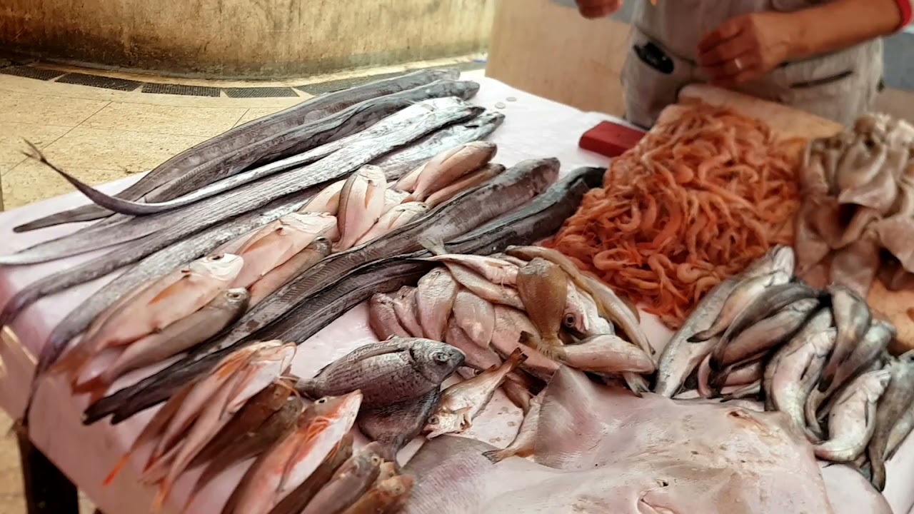 أحسن بلاصة تاكلوا فيها حوت طري و بثمن مزيان في الصويرة💙 // Où manger du poisson frais à Essaouira