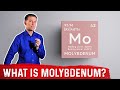 Molybdenum and its benefits  dr berg