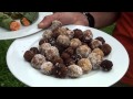 LITOMERICE: Vegansk´y piknik ostrove