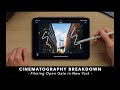 How i filmed my new york travel  cinematography breakdown bmcc6k open gate 32