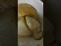 牡蠣🦪入り、おでん🍢