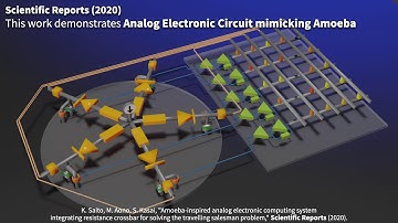 Amoeba-inspired Analog Electronic Computing System for Solving the Travelling Salesman Problem