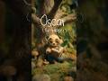 Meet Oscar! 🦡 | Needle Felt Animal Friends | Kids Animated Series