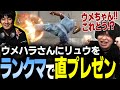【スト6】ウメハラさんにリュウの大ゴスと前強Kをランクマで直プレゼンする【なるお・ストリートファイター6】