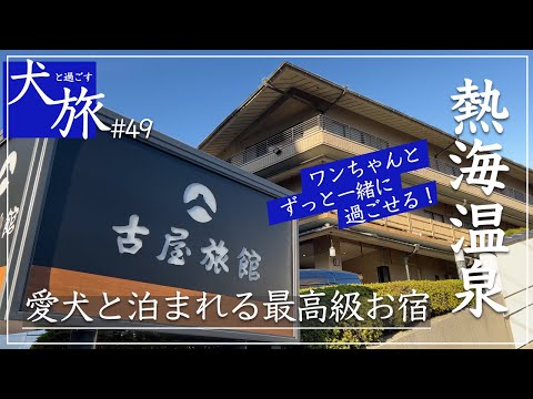 【熱海|古屋旅館】ワンちゃんと泊まれる最高級お宿。露天風呂付き客室のプライベートな空間で過ごす|源泉掛け流し|高級宿