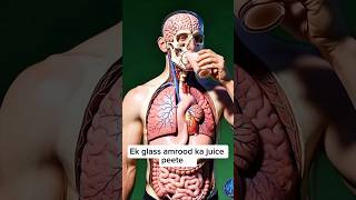 What Happens Inside Your Body When You Drink Guava Juice? 😱 | 3D Medical Animation #health3d #guava