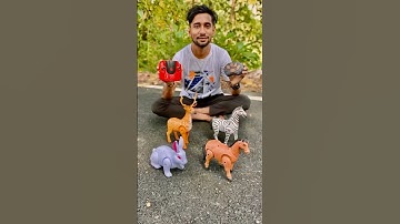 4 Rc Animals, Horse 🐎 Rabbit 🐇 Zebra 🦓 Deer 🦌Testing