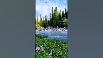🎙️ تلاوة مؤثرة للشيخ عبد الباسط: “أرأيت الذي يُكذّب بالدين” – سورة الماعون 🌿