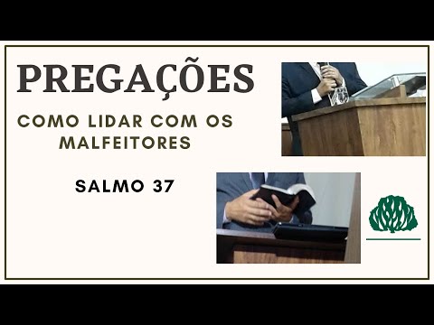 Vídeo: Como Lidar Com Malfeitores