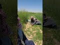 ربيع البادية الشمالية الأردن