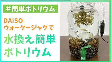 ダイソーアクアリウム Mp3