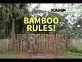 So Many Uses for Bamboo!