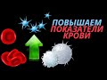 Как поднять лейкоциты/тромбоциты перед химиотерапией и восстановить кровь после нее. Лучшие рецепты