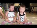 Dad Taking Care of Twins and a Daughter at Home Alone | Cute Identical Twins 👶👶