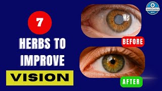 7 Powerful Herbs To Improve Vision