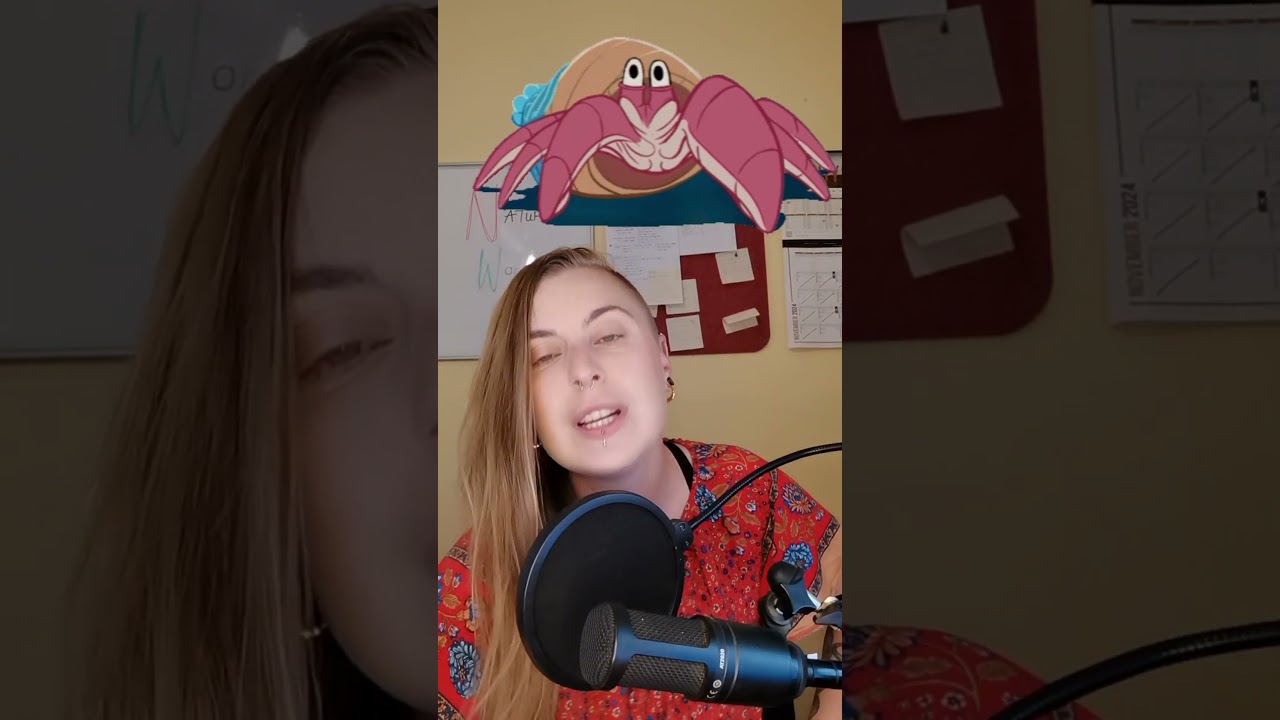 The Common Sand Hermit Crab 🦀🐚 | Nature Wonders 11